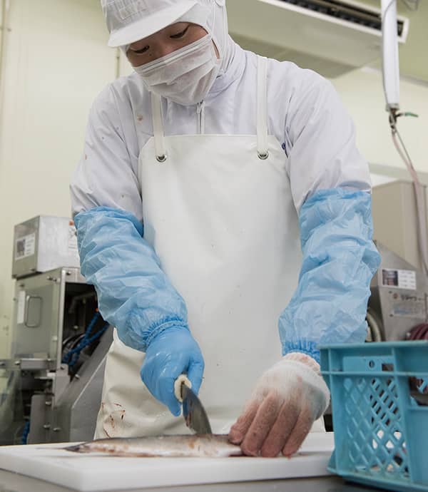 佐々木龍太 仕事中の写真