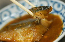 学校給食向け魚メニュー